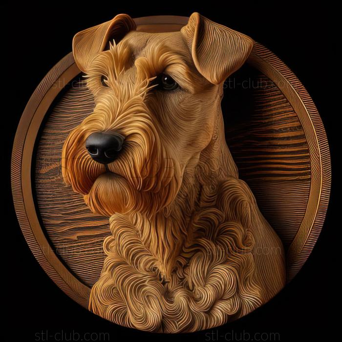 st Welsh Terrier dog